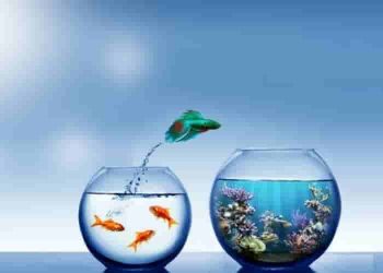 Suy nghĩ về lựa chọn sống trong vùng an toàn hay dám thay đổi để khám phá những điều mới mẻ trong thế giới hiện nay?