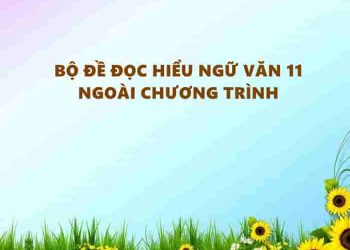 Tuyển Tập Đề Đọc Hiểu Ngữ Văn 11 Ngoài Chương Trình