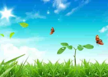 Bật mí công thức viết đoạn văn phân tích/đánh giá hình ảnh nổi bật trong bài thơ
