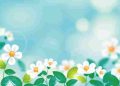 Bí mật của nghệ thuật kể chuyện: Các kiểu kết cấu trong tác phẩm tự sự