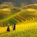 Bí quyết chinh phục đoạn văn nghị luận xã hội 200 chữ