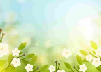 Cách viết đoạn văn nghị luận 200 chữ phân tích nhân vật