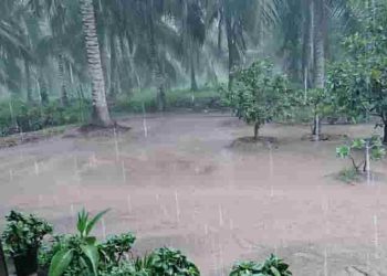 Phân tích đoạn trích "Nhớ cơn mưa quê hương" của Lê Anh Xuân