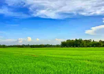 Thích một bài thơ nghĩa là trước hết là thích một con người
