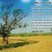 Đã là văn chương thì phải đẹp