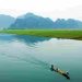 Nhà thơ là người viết lên những câu thơ giàu tính thơ, những câu thơ truyền dẫn được cảm trạng sống mới mẻ