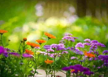 Một tác phẩm văn chương đích thực bao giờ cũng ẩn tàng trong nó cái khả năng khơi dậy chất người trong con người và nâng đỡ con người vượt lên chính nó