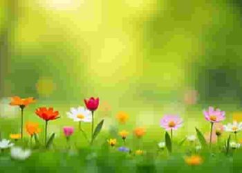 Hướng dẫn phân tích các tác phẩm thơ thất ngôn bát cú Đường luật