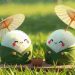 Kỹ năng phân biệt: Đề tài - Chủ đề - Tư tưởng - Cảm hứng chủ đạo