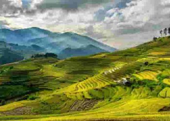Đi tìm “ánh sáng” nhà thơ Huỳnh Thanh Hồng đã đưa vào “trái tim con người” trong bài thơ "Cám ơn đất nước"