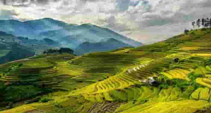 Đi tìm “ánh sáng” nhà thơ Huỳnh Thanh Hồng đã đưa vào “trái tim con người” trong bài thơ "Cám ơn đất nước"