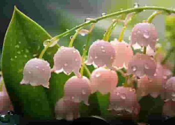 Tuyển tập 100 đề chọn lọc ôn thi vào lớp 10 theo cấu trúc mới (đáp án chi tiết)