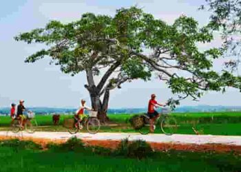 Phân tích cảm xúc của tác giả về quê hương thể hiện trong đoạn thơ "Có người sực tỉnh cơn mơ" (Nguyễn Thiên Ngân)