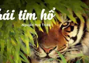 Nhà văn muốn truyền được tiếng người vọng tới lòng bạn đọc để thức dậy tiếng người trong họ...