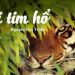 Nhà văn muốn truyền được tiếng người vọng tới lòng bạn đọc để thức dậy tiếng người trong họ...