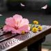 Phân tích, đánh giá tình huống truyện trong đoạn trích "Đau gì như thể…" của Nguyễn Ngọc Tư