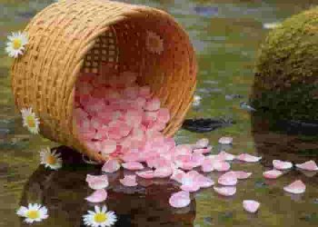 Bí quyết làm chủ nghệ thuật phân tích cấu tứ thơ