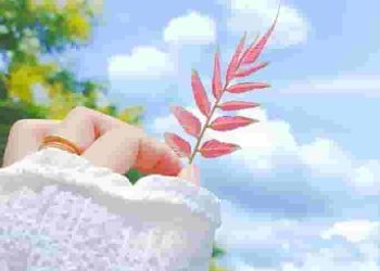 Công thức viết bài nghị luận xã hội về ý nghĩa và vai trò của một phẩm chất, giá trị sống