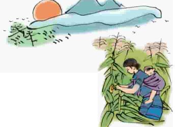 Cảm nhận về hình ảnh “lưng mẹ” trong "Khúc hát ru những em bé lớn trên lưng mẹ" (Nguyễn Khoa Điềm)