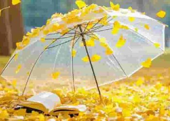 Đứng trước ranh giới giữa sự sống và cái chết, nhân loại có cần đến văn chương nữa không?