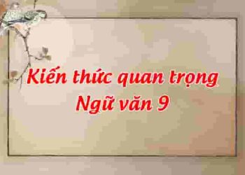 Hệ thống kiến thức và hướng dẫn làm bài Ngữ văn 9