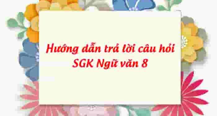 Soạn văn 8 - Hướng dẫn trả lời câu hỏi SGK Ngữ văn 8