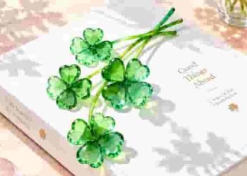Hiểu rõ và cách làm chi tiết phần mở rộng vấn đề trong bài NLXH