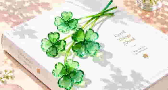 Hiểu rõ và cách làm chi tiết phần mở rộng vấn đề trong bài NLXH