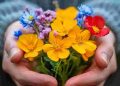 Hướng dẫn trả lời câu hỏi: Thông điệp ý nghĩa nhất đối với bản thân
